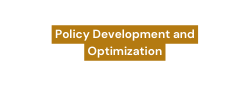 Policy Development and Optimization