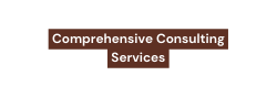 Comprehensive Consulting Services